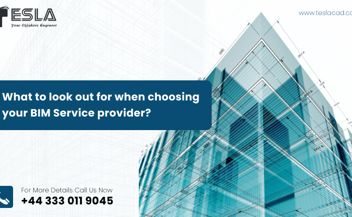 BIM Service provider