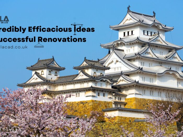 Successful Renovation Ideas