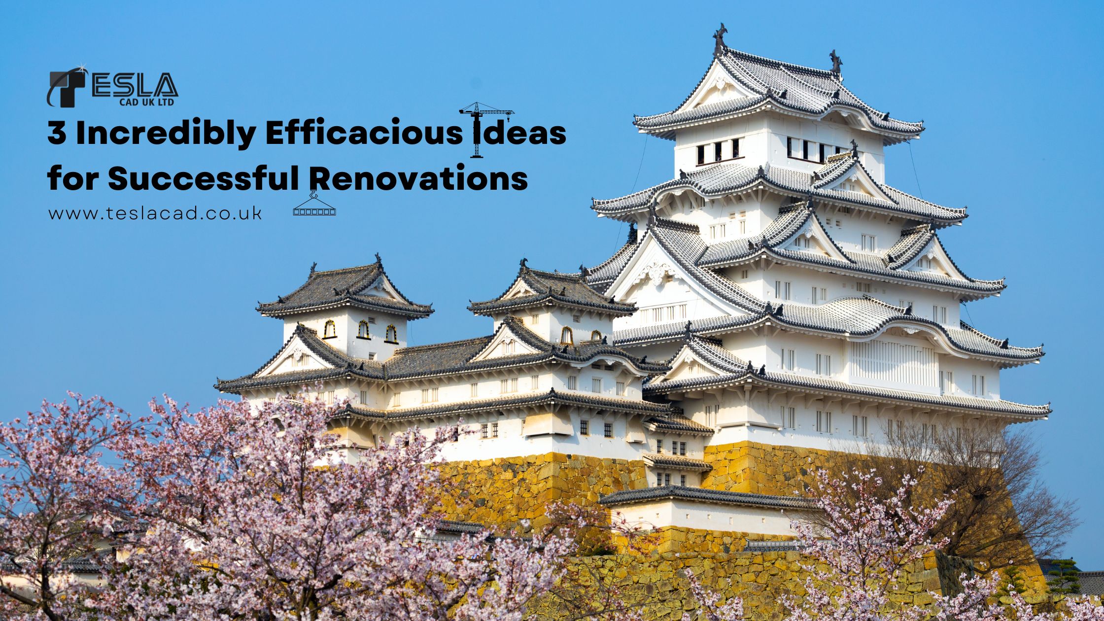 Successful Renovation Ideas