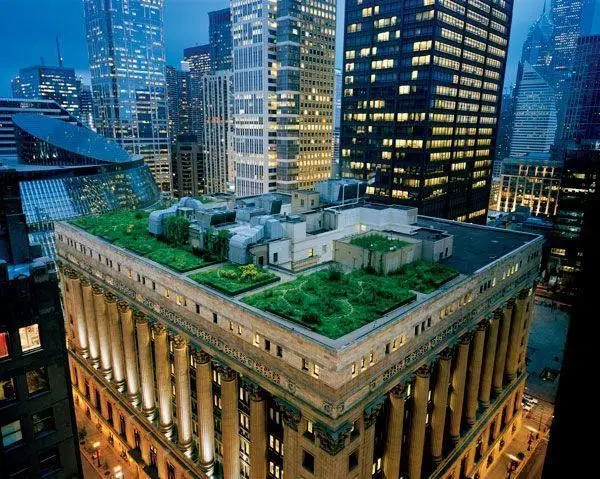 Chicago City Hall Green Roof Chicago City Hall Green Roof
