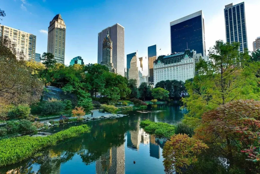 Urban Sustainability: Building Greener Cities